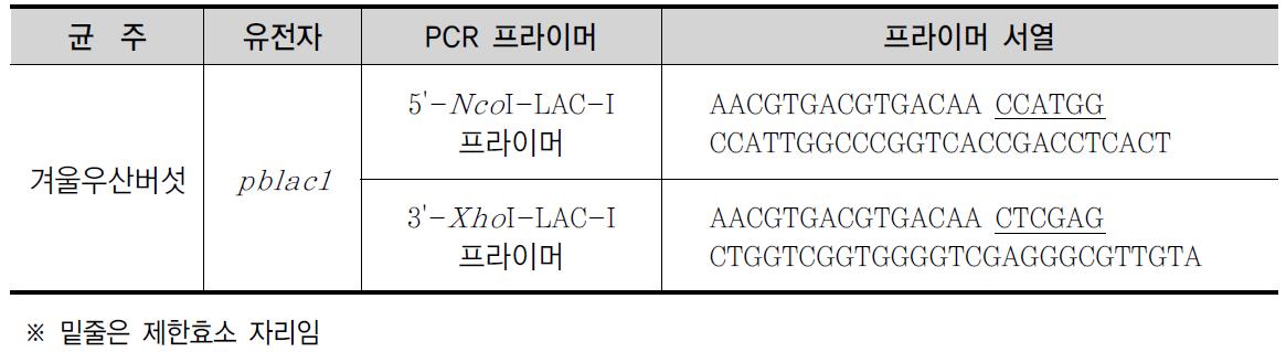 겨울우산버섯의 pblac1 유전자의 재조합 대장균의 발현을 위한 PCR 프라이머 서열