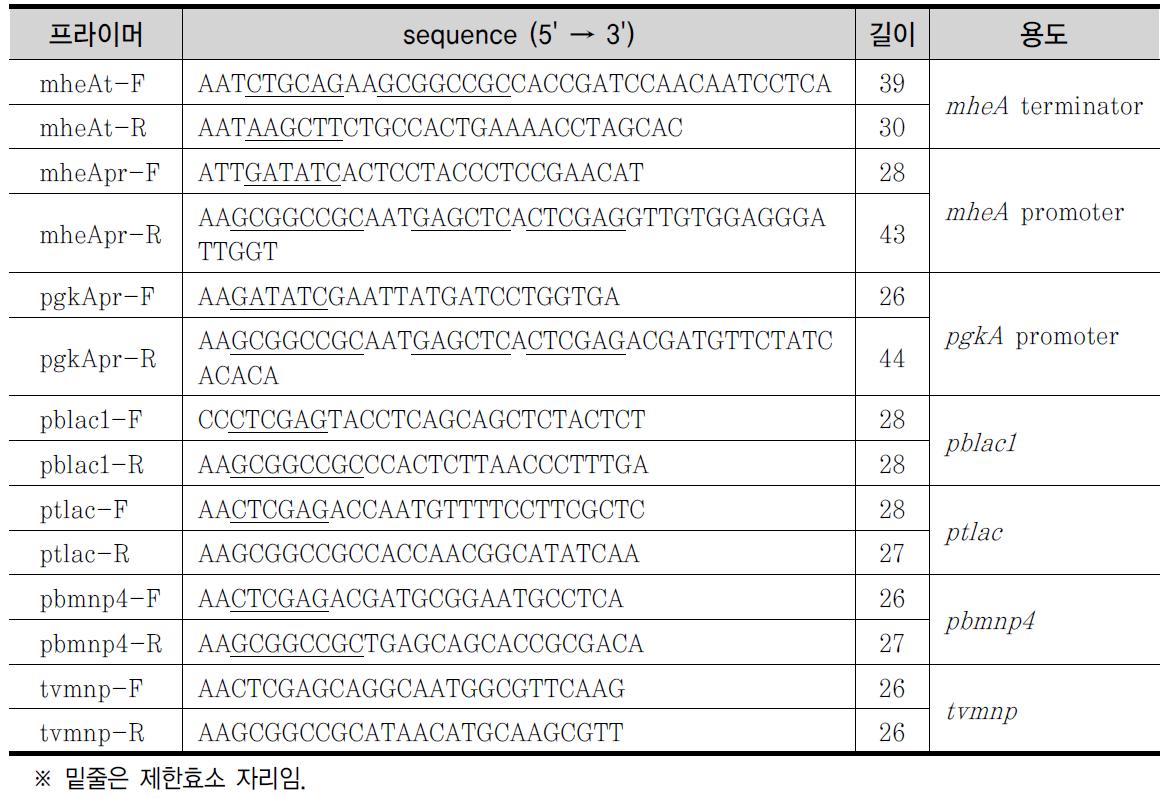 누룩곰팡이 형질전환용 벡터제작에 사용된 프라이머