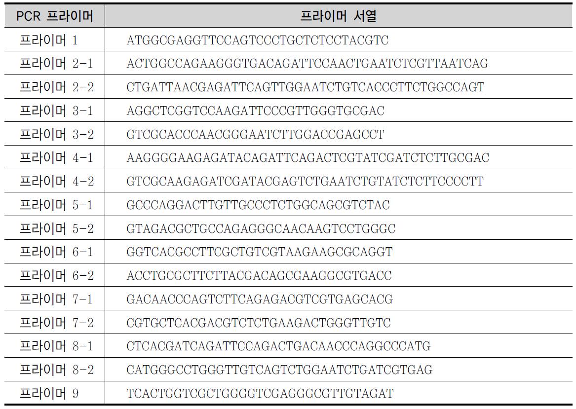 코돈 최적화를 위한 프라이머 서열