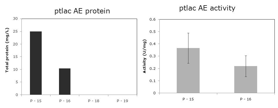 이온교환 크로마토그래피에 의한 ptlac 재조합 단백질 분리