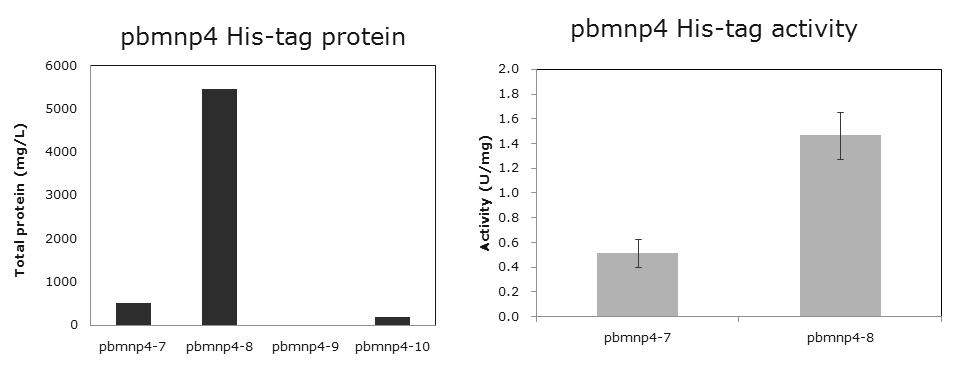 His-tag affinity 크로마토그래피에 의한 pbmnp4 재조합 단백질 분리