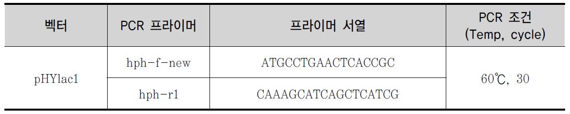 형질전환 확인을 위한 프라이머 및 PCR 조건