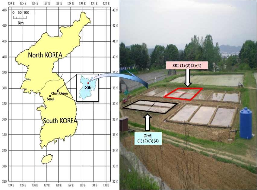 연구대상지역