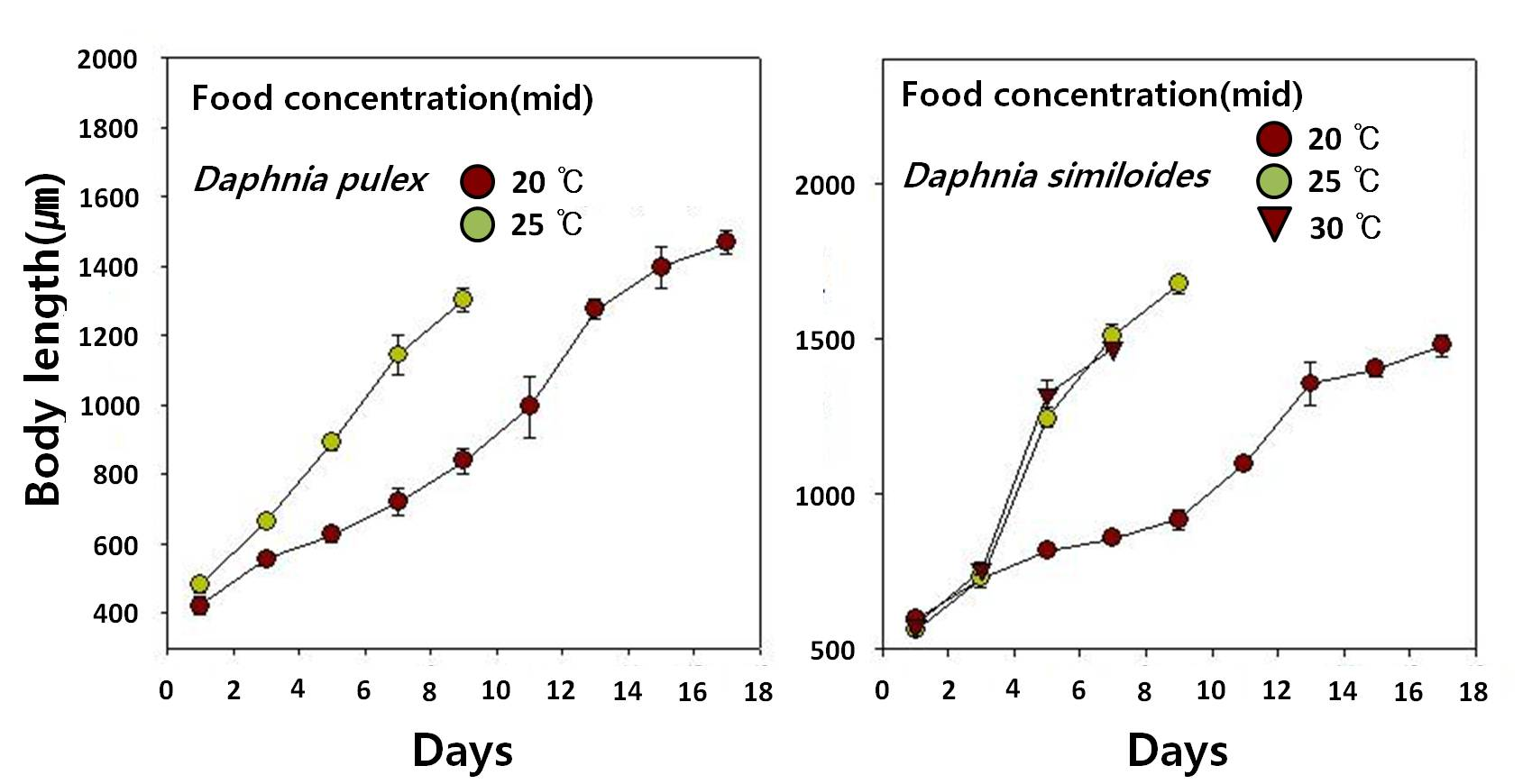 후보 천적생물(Daphnia) 2종의 온도에 따른 성장곡선