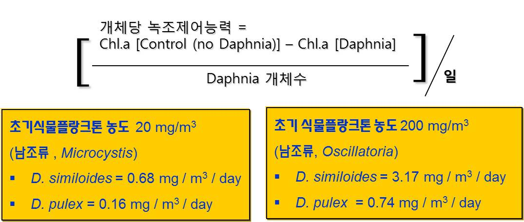 Daphnia pulex와 Daphnia simi loides의 남조류 저감 능력