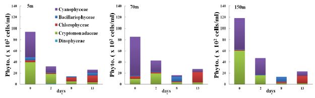 자연분리 천적생물 현장살포에 따른 식물플랑크톤 변화(2차 살포)