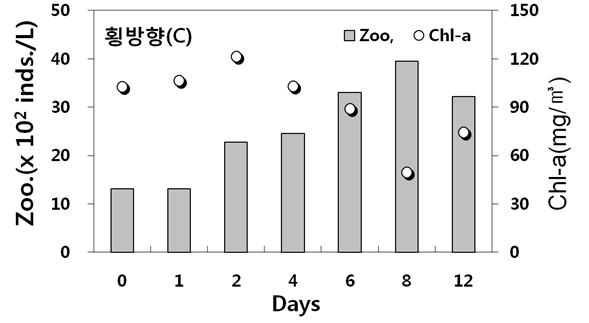 자연분리 천적생물 살포에 의한 횡방향(C)과 제방방향(D)의 일별 동물플랑크톤 및 Chl-a 변화(1차 살포)