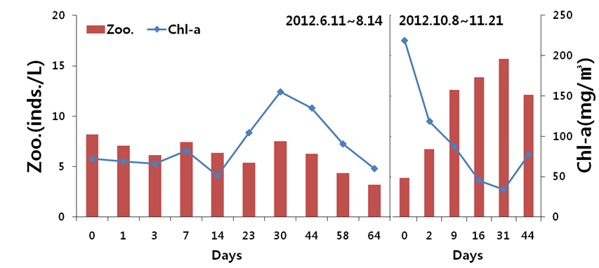 천적생물 현장살포에 의한 계절변화에 따른 일별 동물플랑크톤 및 Chl-a 변화(2차 살포)