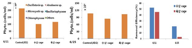 Cage내 식물플랑크톤 현존량 변화 및 제어 효과