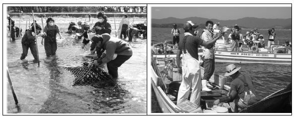하마나코 사토우미노 카이의 어촌체험프로그램