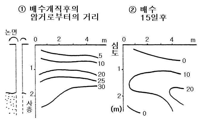 수직형 암거에 의한 포텐셜 선의 경시(經時)변화(논바닥을 0으로 해서)