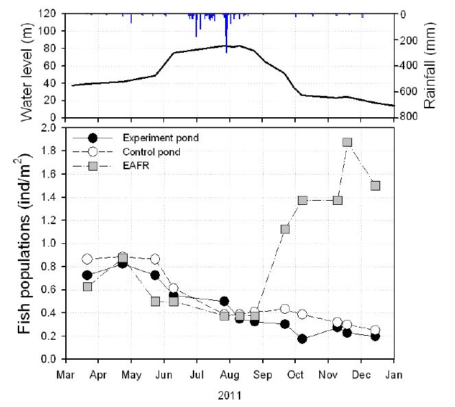 그림 3.38 실험구와 대조구의 수위 및 어류 개체수 변화