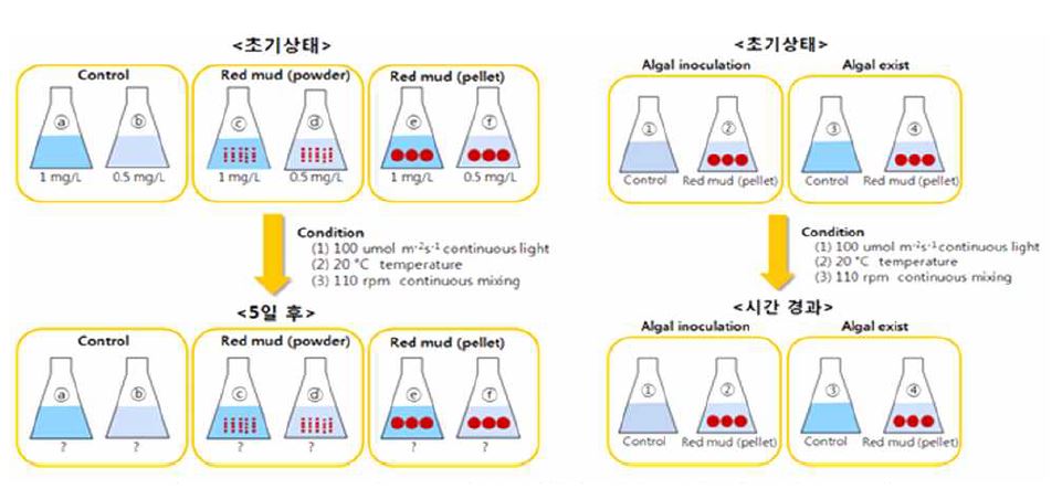그림 4.10 인(P)제거 실험 및 조류제거 실험 개요도