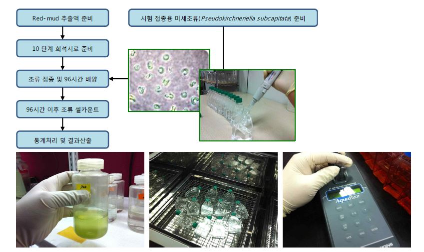 그림 4.12 미세조류 성장률 저해 생태독성 실험 과정