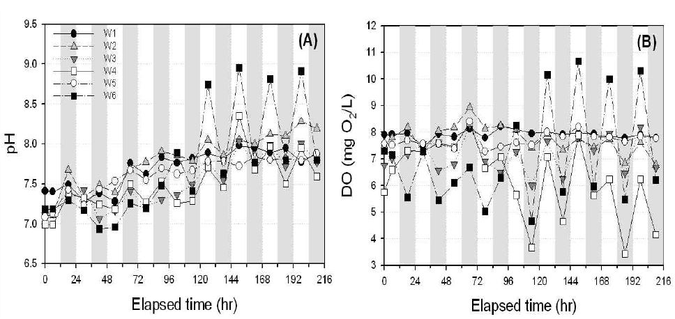 그림 4.18 메소코즘 따른 pH(A), DO 변화농도