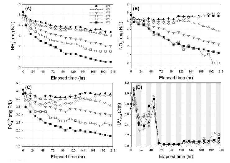 그림 4.19 mesocosms에 따른 영양염류 및 UV254 제거 결과
