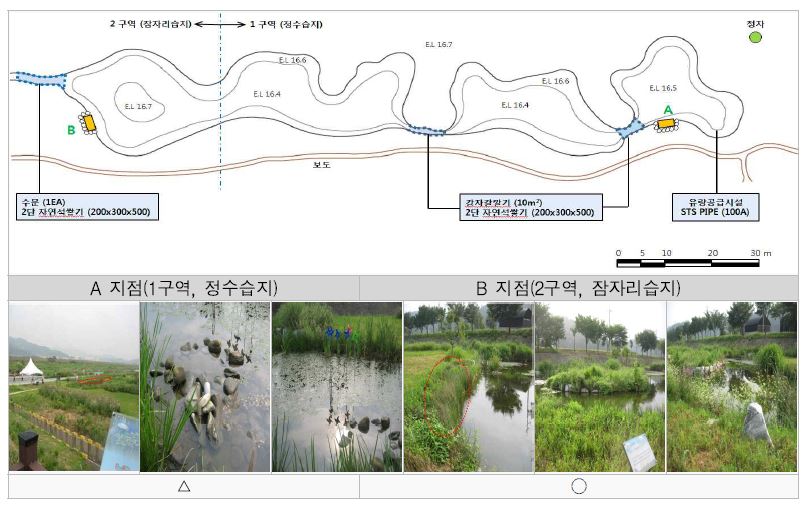그림 5.13 탄천 생태습지 내의 방틀둠벙 예상 적용현장 현황