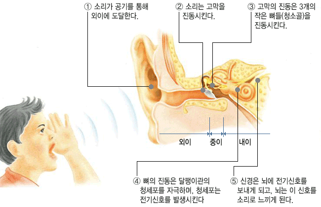 그림 2.26 소리의 전달과정