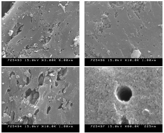 그림 4.5 분말 활성탄에 PVA 바인더를 주입하기 전 세공의 SEM 사진