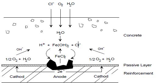 그림 22 콘크리트 중의 철근부식 메커니즘