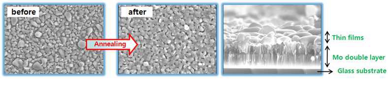 Annealing 처리 후 CuInSe2 박막의 표면 및 단면의 미세구조 변화