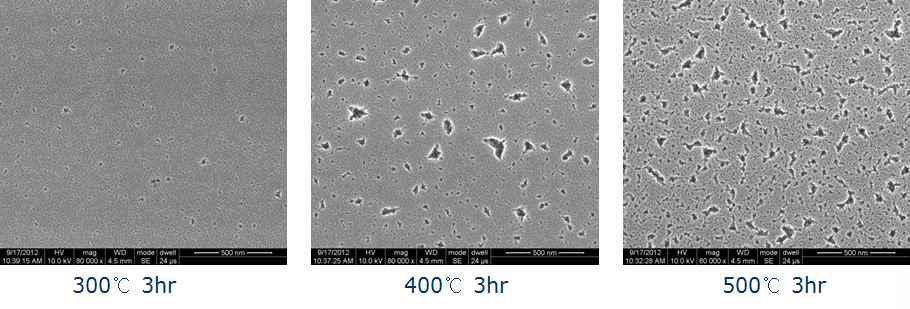 tin oxide 박막의 온도별 어닐링 조건에 따른 SEM 이미지