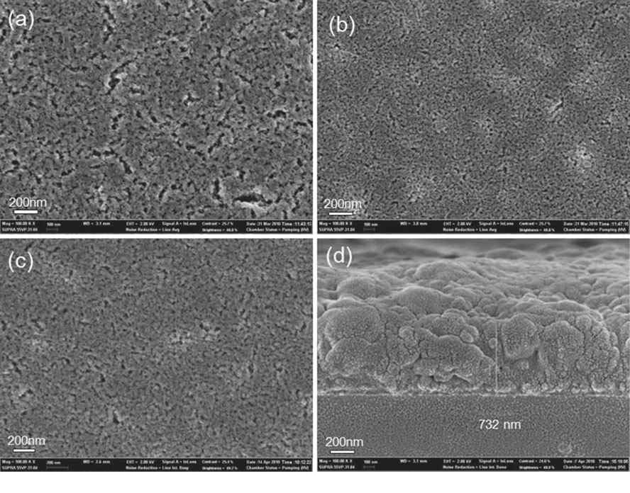 양친성 고분자인 Poly(vinyl chloride)-graft-poly(N-vinyl caprolactam)를 이용한 금속 산화물 필름의 구조 제어 SEM 분석