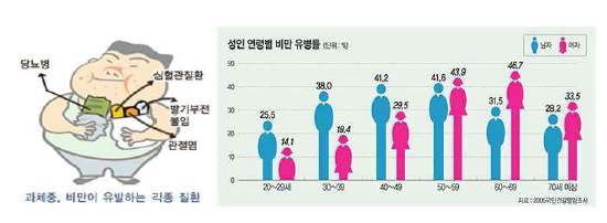 그림 1. 비만 관련 질환 및 연령별 비만 유병률(자료 : 2007년 국민 건강 영양 조사