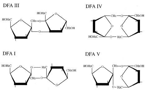 그림 5. Difructose Anhydrides(DFAs)의 구조