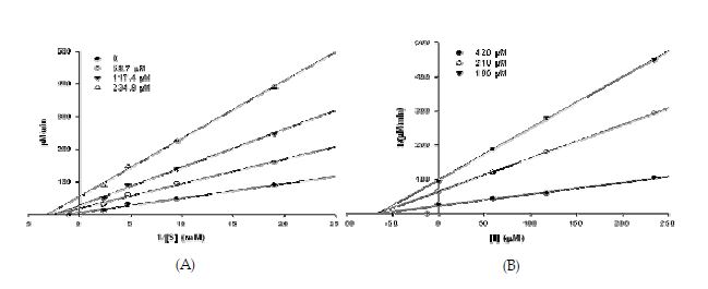 그림 5. Curcuma aromatica Salisb.의 EtOH 추출물에서 분리한 U3의 저해양상을알아보기 위해 실시한 Lineweaver-Burk plot(A)과 Dixon plot(B).