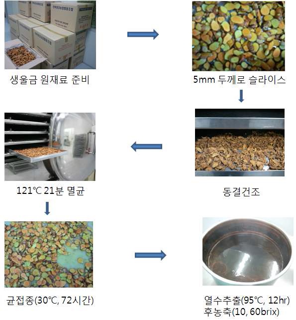 Fig. I-13 울금 발효 및 추출