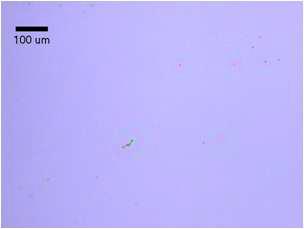 K-PB-2 박막위에 IGZO 무기반도체 용액의 코팅성