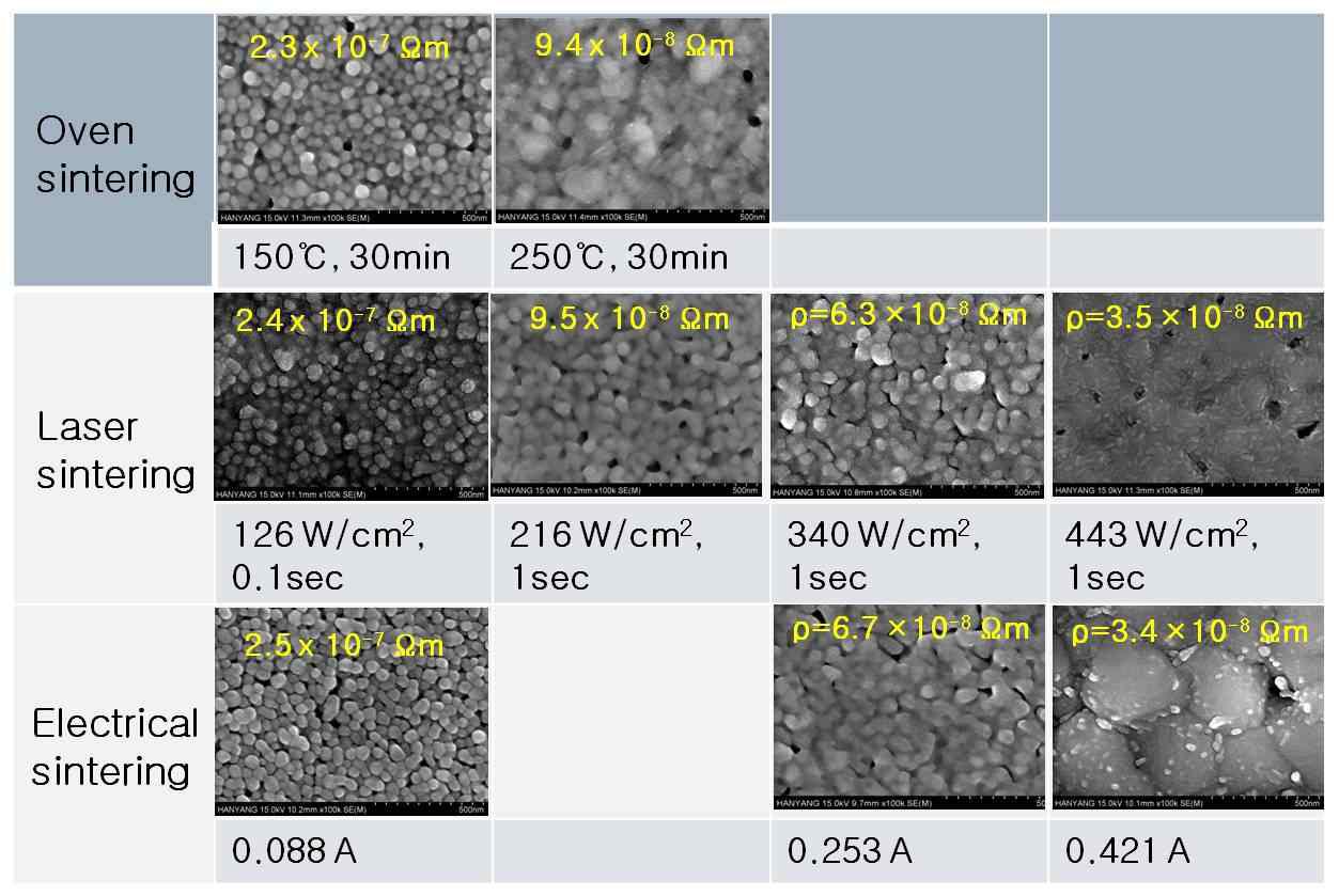비슷한 비저항을 갖는 실버 도선의 소결방법에 따른 FESEM 이미지 (ANP ink)