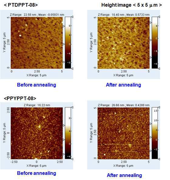 DPP계 공액고분자의 열처리 전과 후 AFM 이미지