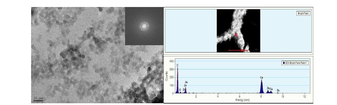 제작된 ZnO 나노입자의 나노 구조 분석(TEM)