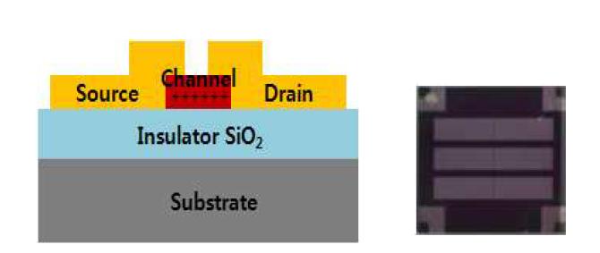 제작된 ZnO TFT 소자의 구조 및 사진