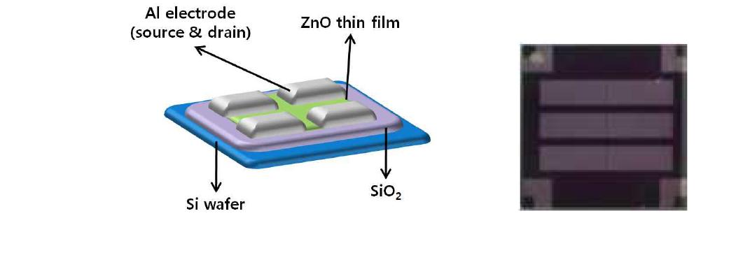 제작된 ZnO TFT 소자의 구조 및 사진