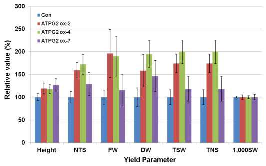 ATPG2 과발현 애기장대 T2 형질전환체의 생산성 증대 지표 분석