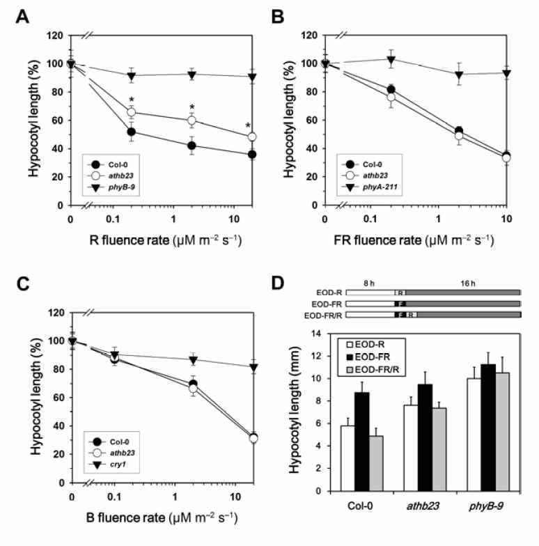 The athb23 mutant shows reduced hypocotyl growth responses to red light