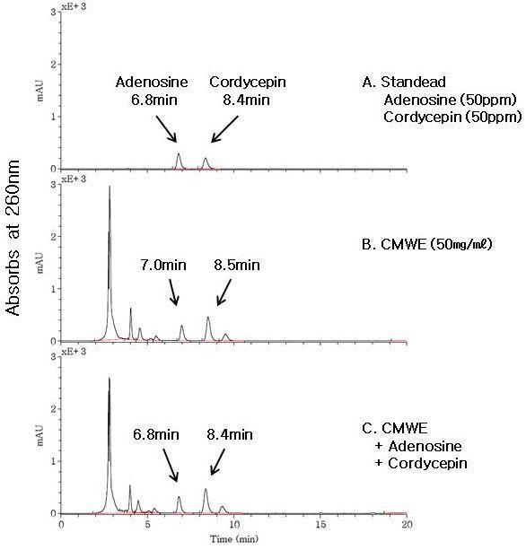번데기동충하초에서 추출한 CMWE에 함유된 cordycepin및 adnosine의 확인.