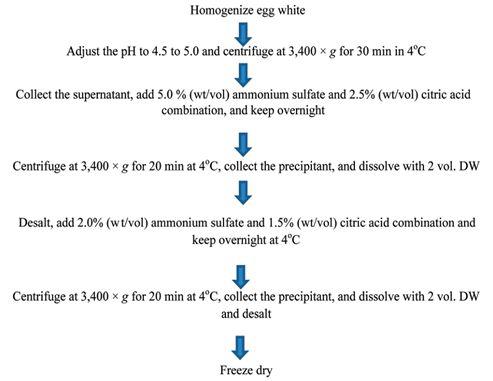 염을 이용한 난백으로부터 ovotransferrin의 분리에 대한 schematic diagram.