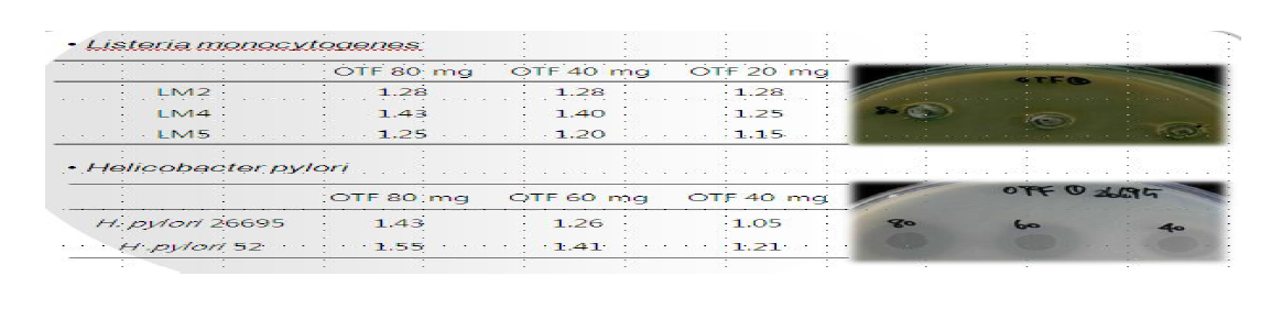 Well diffusion method법을 이용한 Listeria monocytogenes 와 Helicobater pylori 균의 생육저해효과 활성 검증