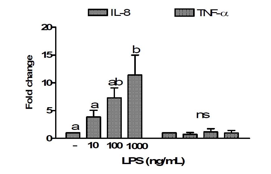 Real-time PCR을 이용한 LPS로 유도된 HT-29 cell에서의 IL-8 and TNF-α 발현 변화 측정.