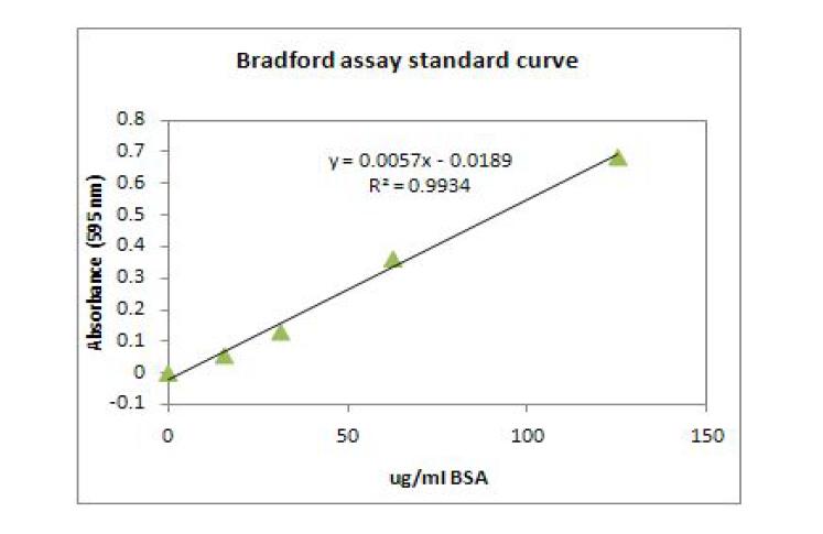 Bradford assay 이용한 standard curve.