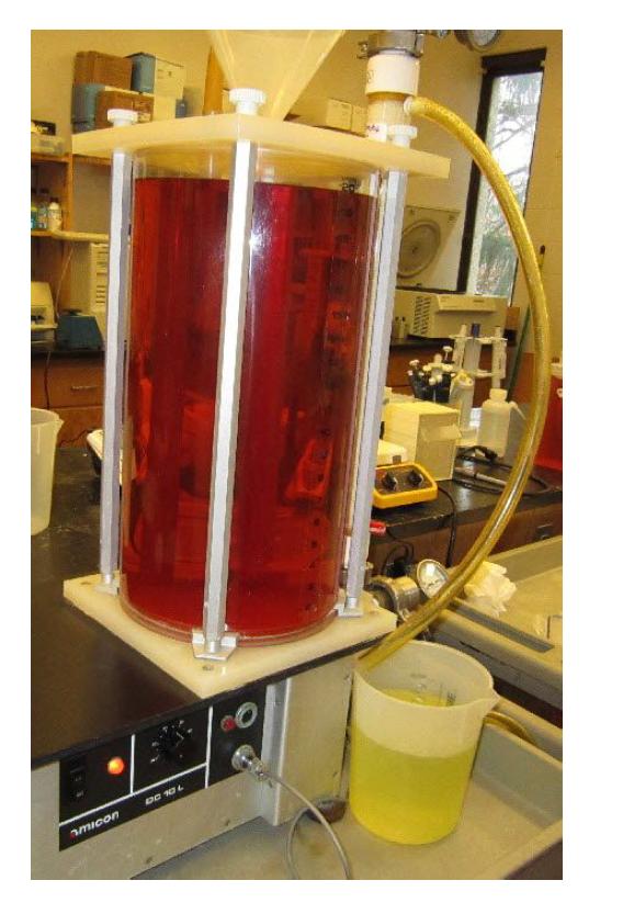 Ovotransferrin solution을 ultrafiltration을 이용하여 에탄올을 제거하고 농축하는 과정.