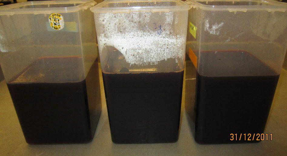 Ultrafiltration을 이용하여 에탄올을 제거한 후 농축 된 ovotransferrin 용액.
