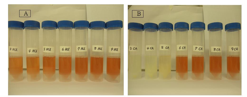 pH 별 ovotransferrin의 철 이온 제거 정도 확인.A. pH adjusted using HCl. B. pH adjusted using citric acid.