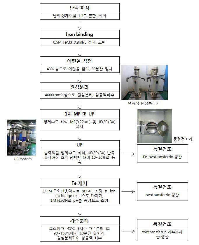 Ovotransferrin 및 ovotransferrin 가수분해물 생산공정.