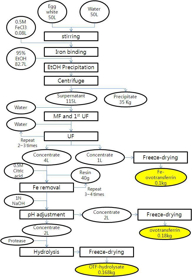 Ovotransferrin 대량 생산 공정.