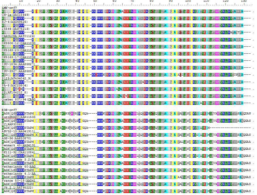 LMYstrain과 E38strain의 Nprotein(Orf7)의 sequencealignment